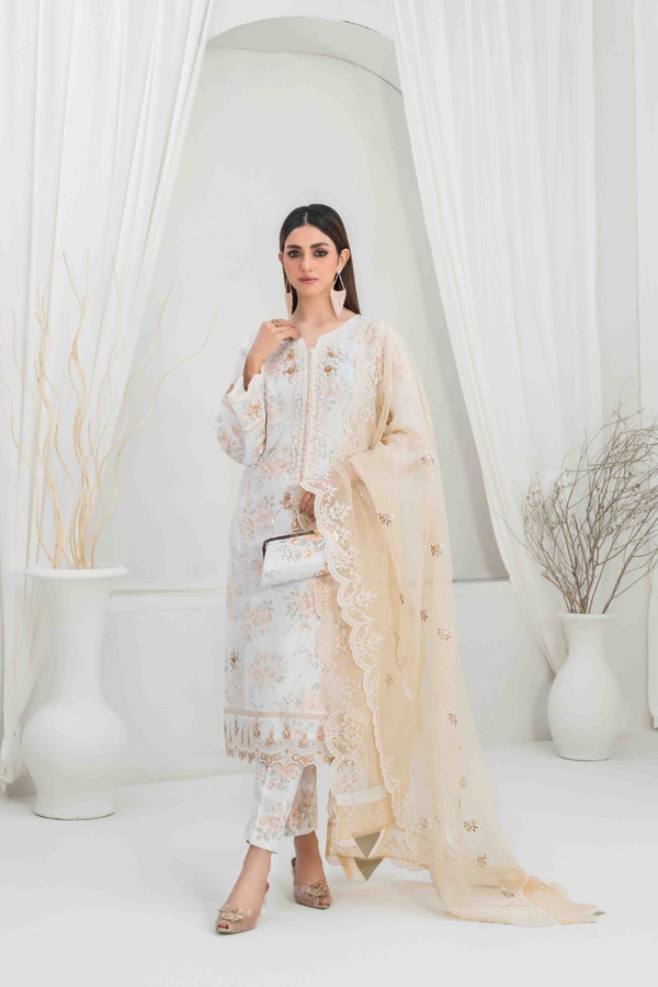 Z-241 Embroidered Organza Ready Made