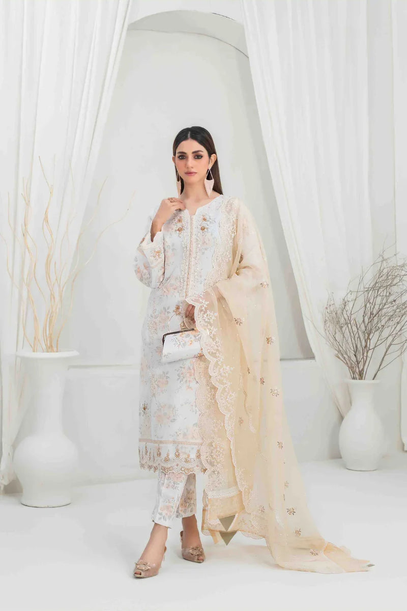 Z-241 Embroidered Organza Ready Made