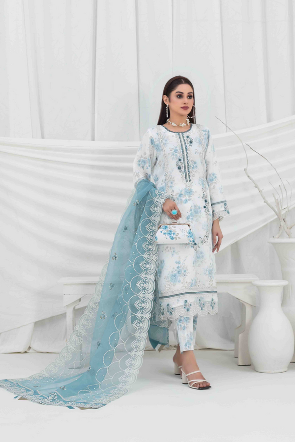 Z-242 Embroidered Organza Ready Made