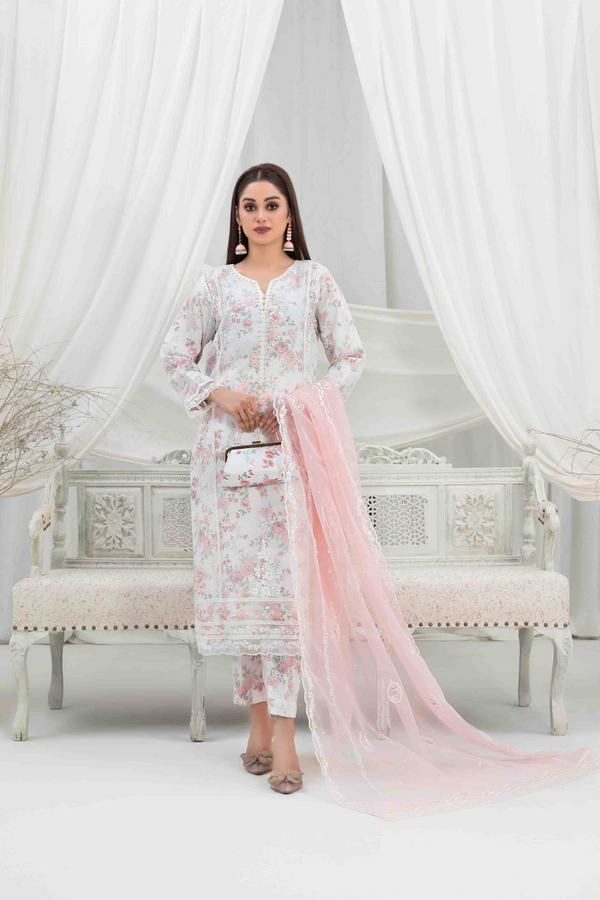 Z-248 Embroidered Organza Ready Made