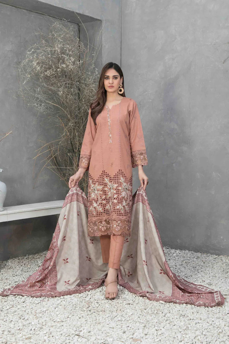 Z-269 Embroidered Organza Ready Made