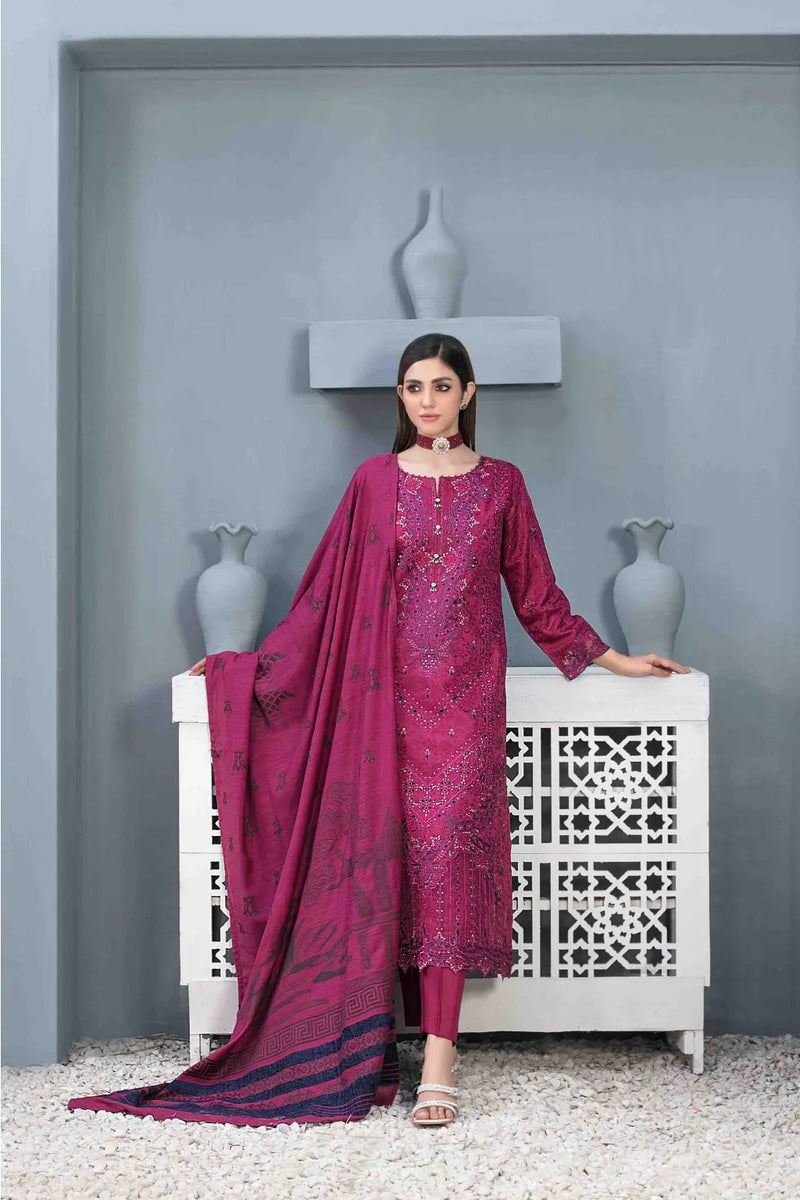 Z-262 Embroidered Organza Ready Made