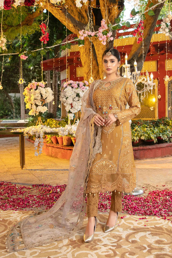 Z-217 Embroidered Chiffon Ready Made