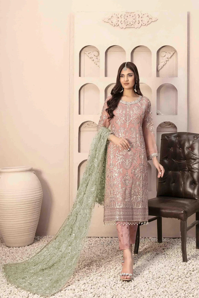 Z-253 Embroidered Organza Ready Made